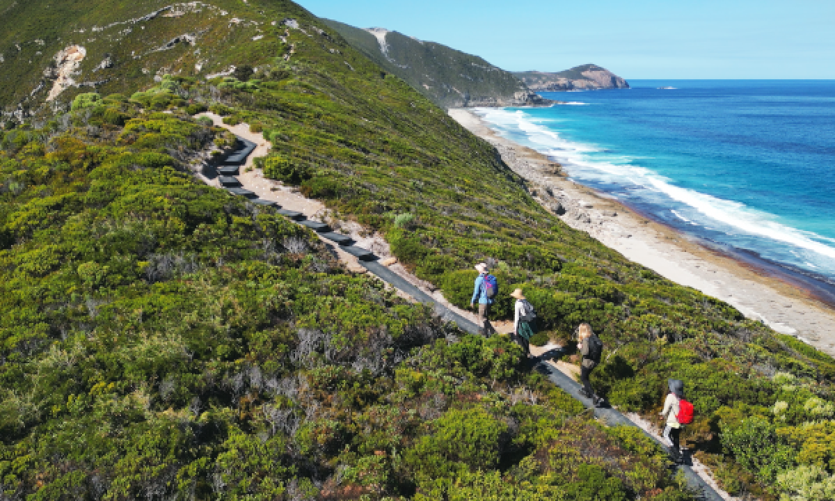A group of four hikers on the Bald Head Trail, Torndirrup National Park